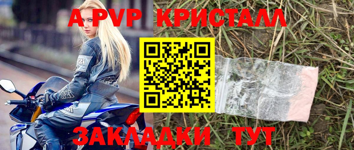 A PVP СК Курчалой