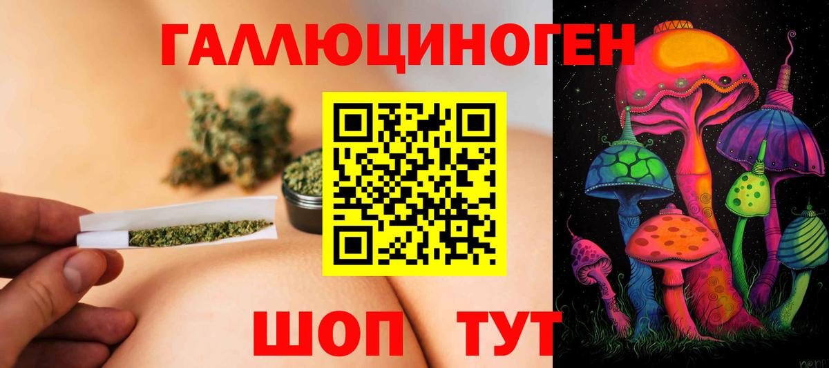 Псилоцибиновые грибы Psilocybe Курчалой
